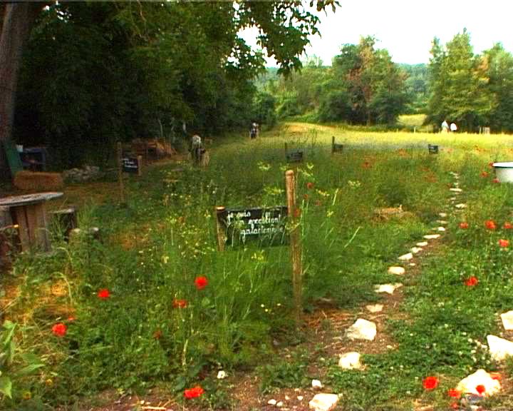 isis photo 4 - copie