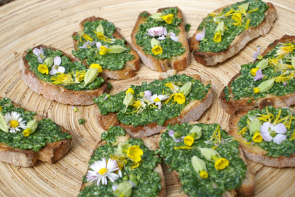 KONICA MINOLTA DIGITAL CAMERA