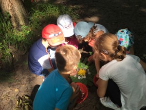 art et nature enfant