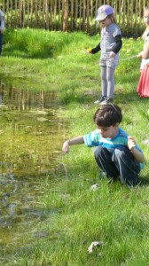 découverte libre du mielieu classe