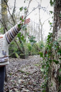 Club_Nature-5dec2018_MG_9420