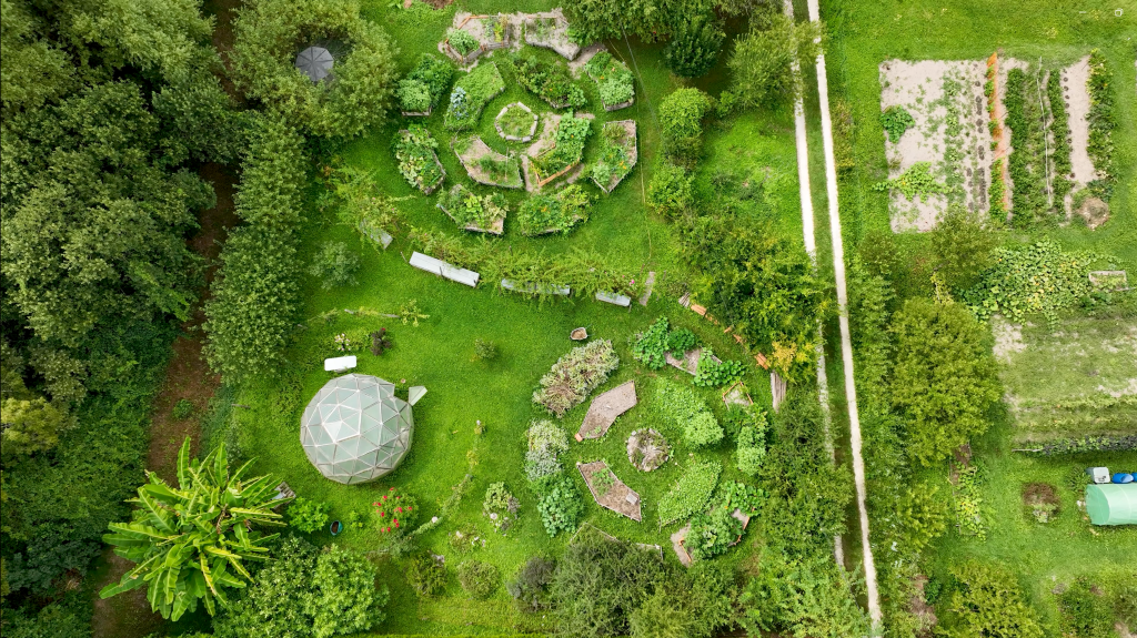 Capture d'écran 2025-06-18 124523